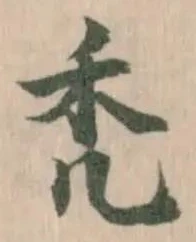 禿 위치 확인됨