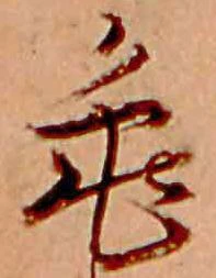 已定位亀