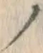 “ノ”字