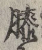 Đã định vị 膝