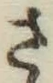 글자 さ