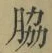 Chữ 脇