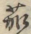 位置定マレル茄