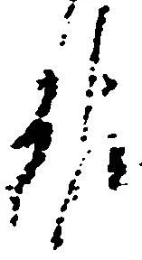 報 위치 확인됨