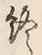 文字終