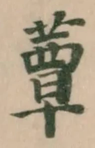 蕈の位置