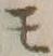 字モ