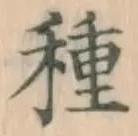 글자 種