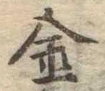 金 위치 확인됨
