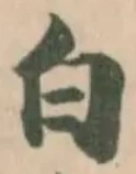 位置定マレル白