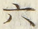 「六」字
