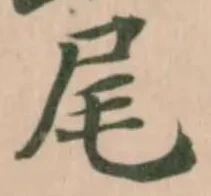 尾 위치 확인됨