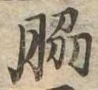 Đã định vị 脇