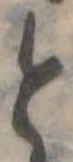 と 위치 확인됨
