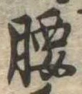 腰 위치 확인됨
