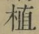 글자 植