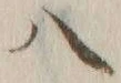 字八