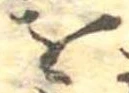 𛄜 위치 확인됨