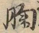 胸 위치 확인됨