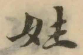 妵の位置