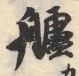 艫の位置