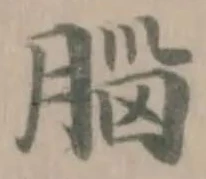 腦 위치 확인됨