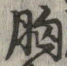 胸 위치 확인됨