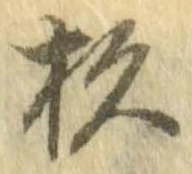 位置定マレル杉