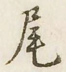 尾 위치 확인됨
