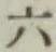 文字六
