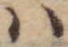 Đã định vị 𛂞