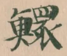 Đã định vị 鱞