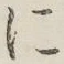 字に