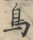 鳥 위치 확인됨
