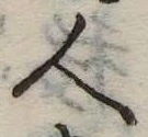 人 위치 확인됨