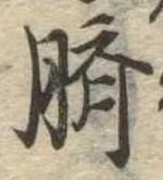 臍 위치 확인됨