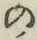 字の