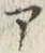 字ア