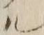 「ル」字