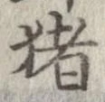 猪 위치 확인됨
