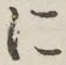 글자 に