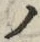 「ノ」字