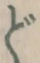 글자 ど