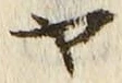 「ヤ」字
