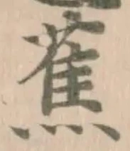 蕉の位置