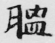 글자 膃