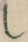 글자 し