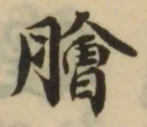 已定位膾
