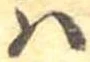 𛂞の位置