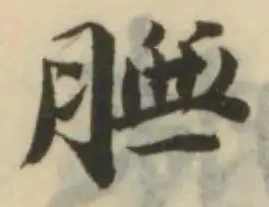 位置 確認된 膴